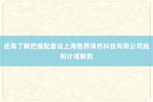 还需了解把握配套设上海悟昂清然科技有限公司施和计谋解救