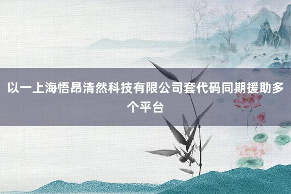 以一上海悟昂清然科技有限公司套代码同期援助多个平台