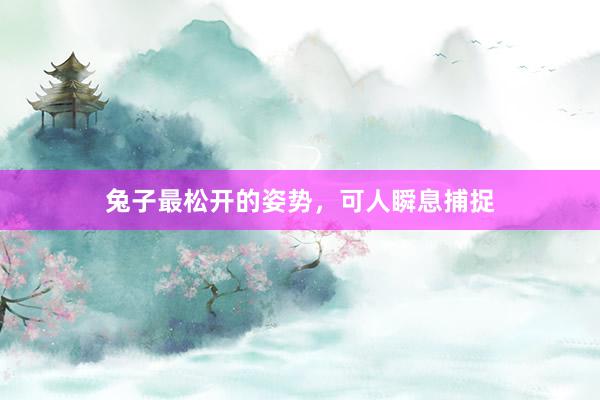 兔子最松开的姿势,可人瞬息捕捉